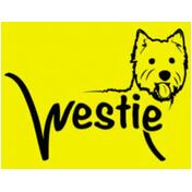 donation charity logo