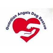 donation charity logo