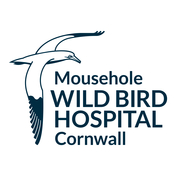 donation charity logo