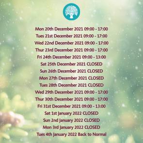 christmas_deadlines_2021_photo_left_1