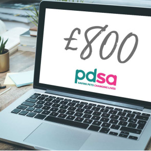 free_online_notices_photo_left_0